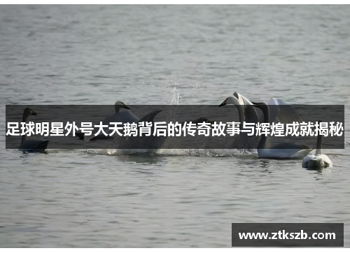 足球明星外号大天鹅背后的传奇故事与辉煌成就揭秘
